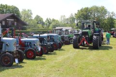 IMG_2213-1-scaled